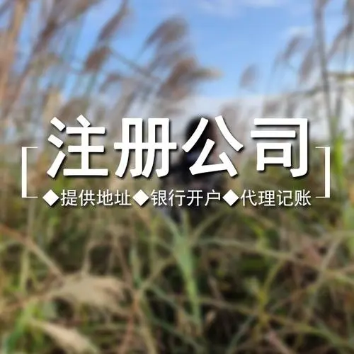 初创企业，如何选择靠谱的代理记账公司？